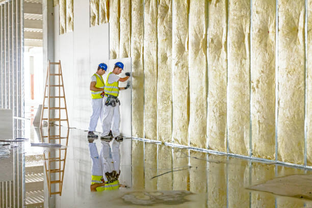 Best Commercial Insulation in North Logan, UT